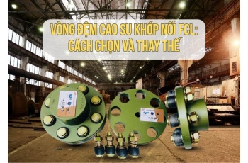Vòng Đệm Cao Su Khớp Nối FCL: Cách Chọn Và Thay Thế